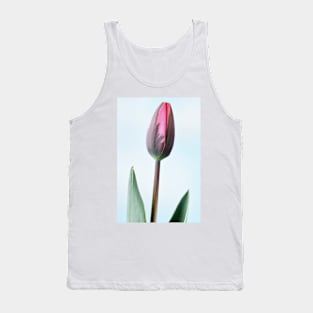 Tulipa  &#39;Pretty Princess&#39; Triumph Group  Tulip Tank Top